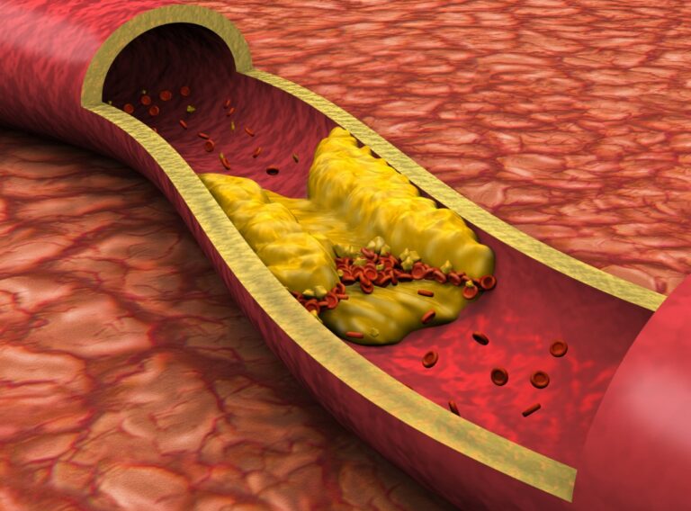 IMG-20260302-WA0000 IMG-20260302-WA0000